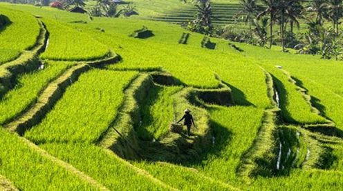 18 bmh-formation stage 11 au 13 07 2019 voyage ODF ortho fonctionnelle -dentosophie